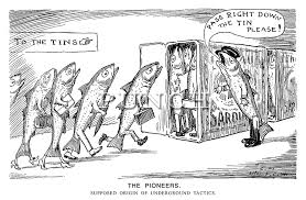 Sardines